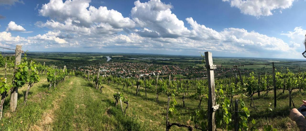 Borgaléria Hotel Tokaj Kültér fotó